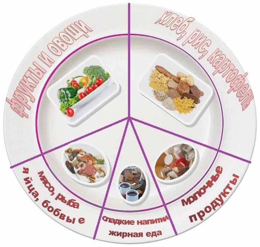 Модель Тарелки Правильного Питания